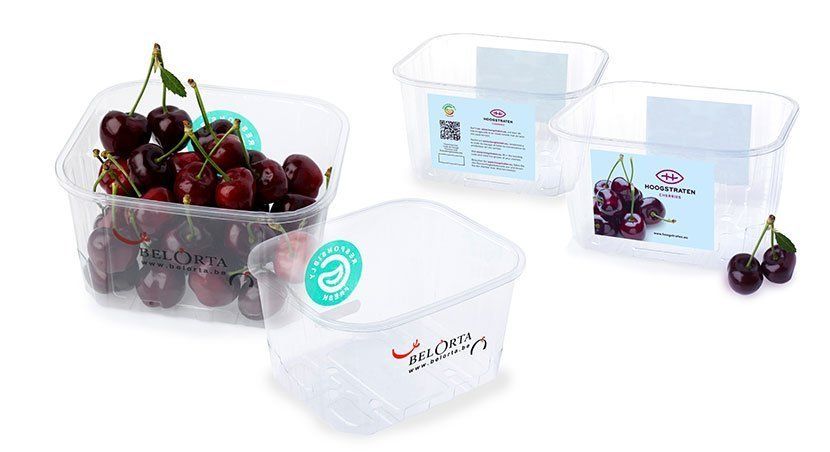 Cestas y punnets Silver Packs 1