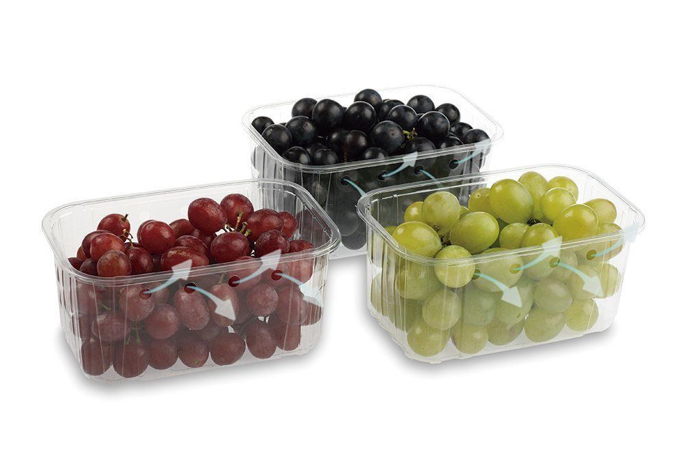 Cestas y punnets Silver Packs 2