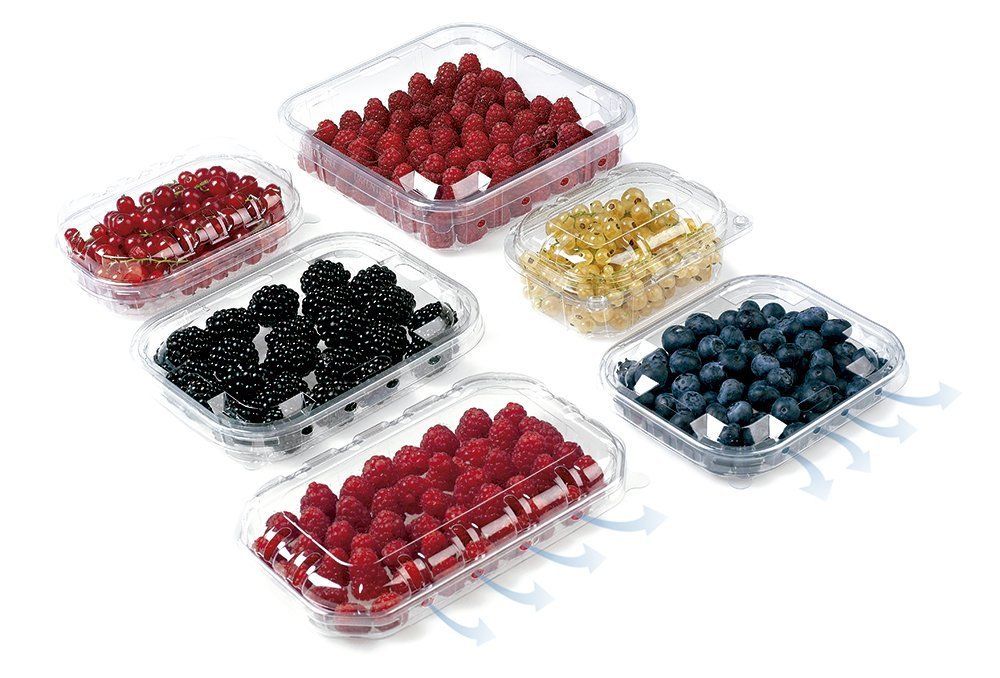 Cestas y punnets Silver Packs 3