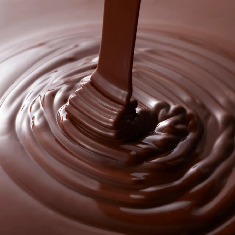 Industria chocolatera