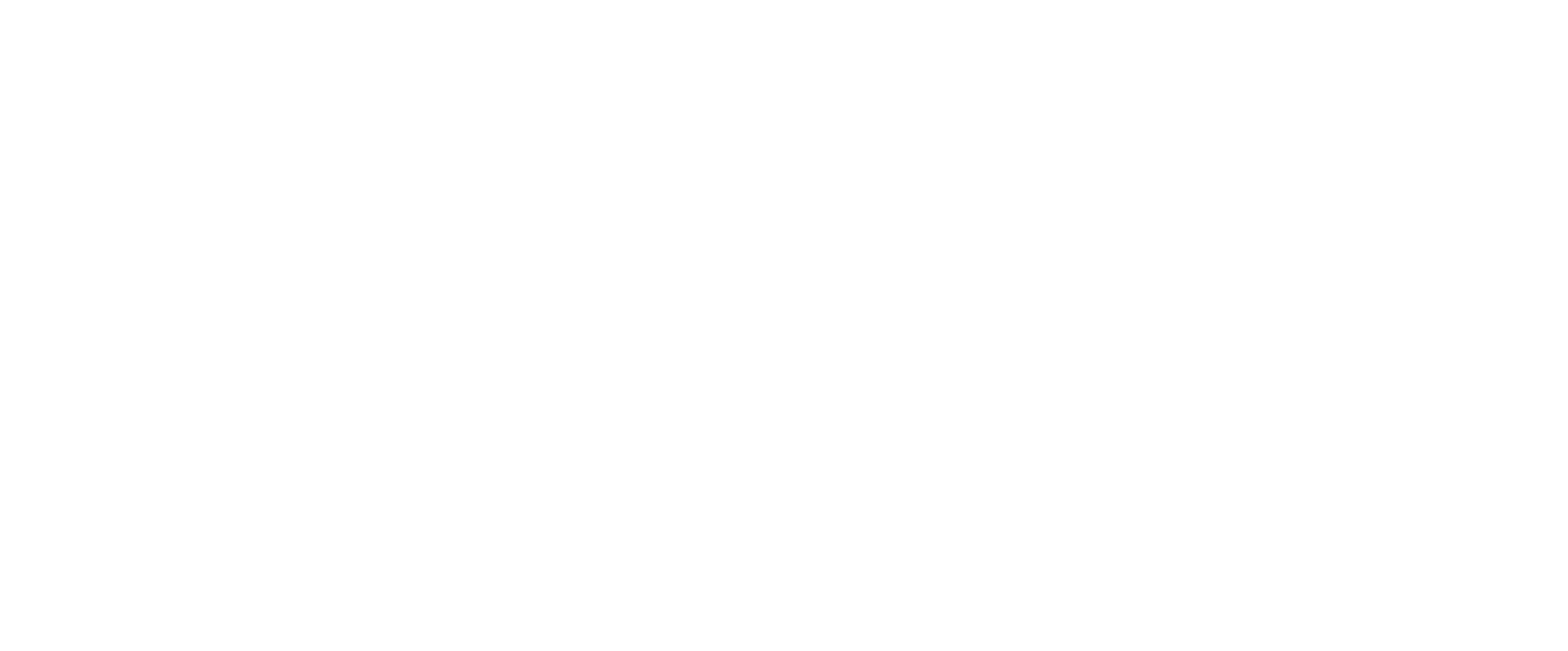 Silver Soluciones