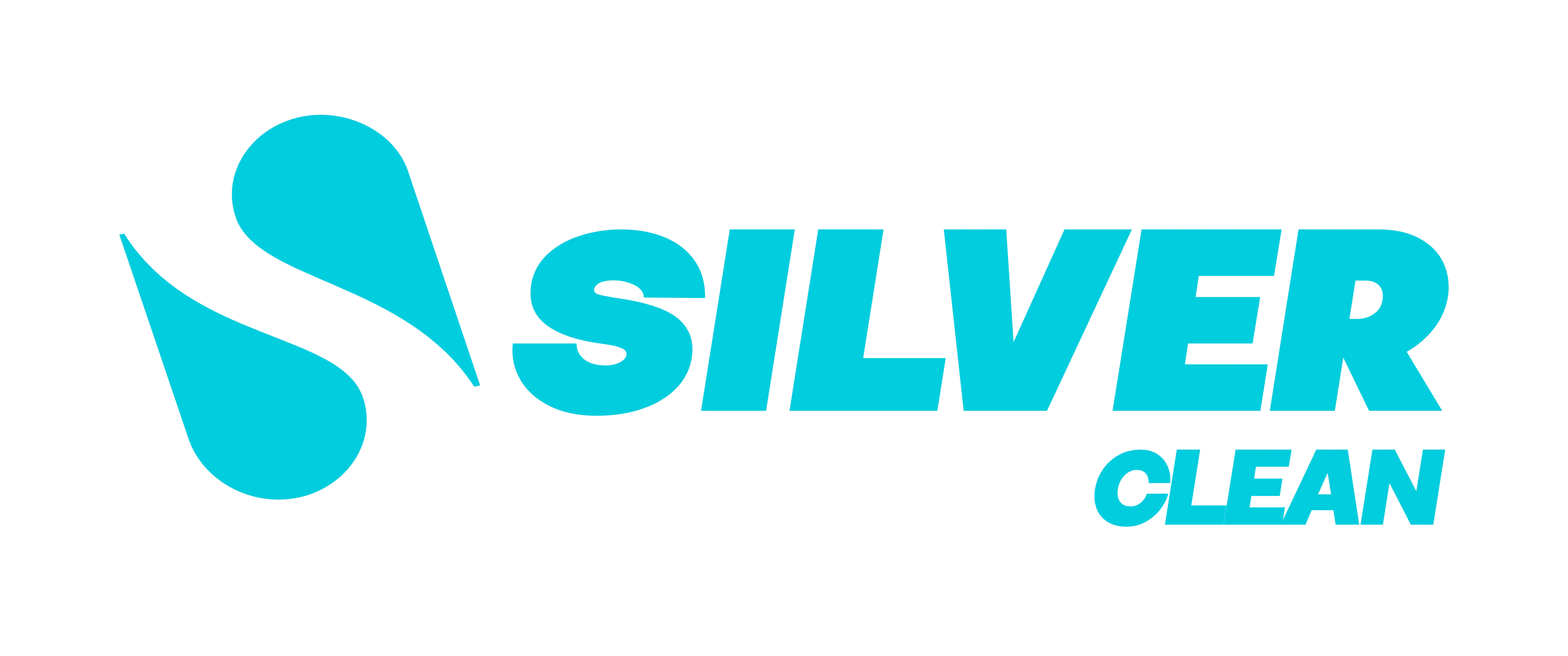 Silver Clean