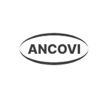 Ancovi