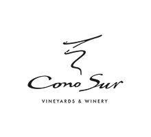 Con-Sur