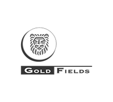 Gold Fields