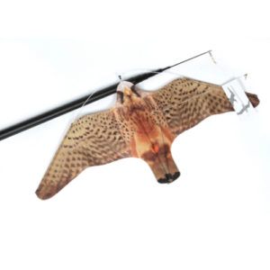 Halcón Espantapájaros<br> Eolo